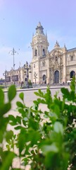 Fototapeta premium Lima's historic cathedral seen through green foliage