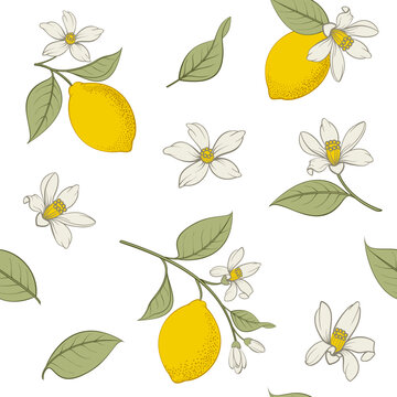Seamless citrus pattern with yellow lemons and flower.