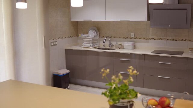 Modern kitchen interior with glossy cabinets and appliances