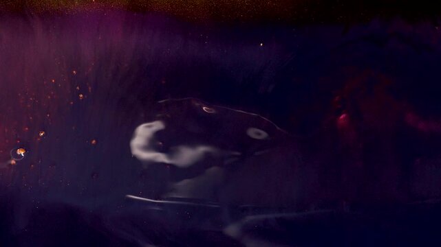 A close up of a Felidaes face with whiskers in a dark room, the purple and electric blue hues contrasting against the darkness, creating a mysterious and captivating image