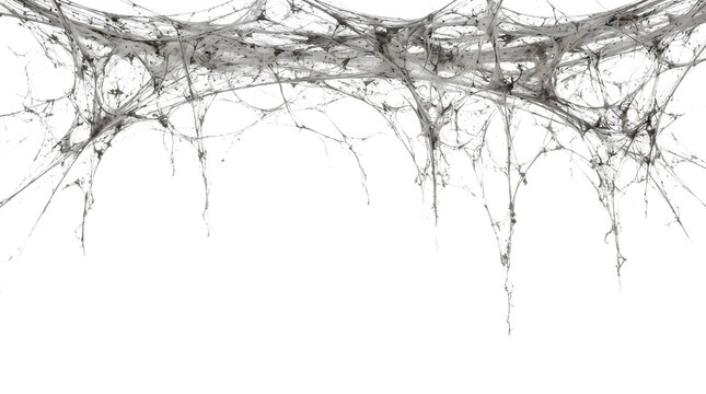 Realistic spider web border. Scary Halloween cobweb on a isolated transparent background png