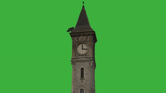 Raven on an old clock tower green screen