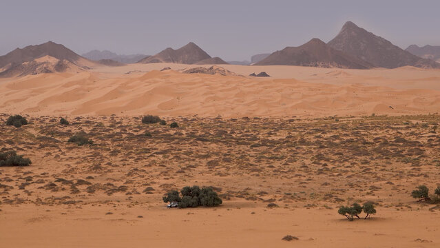 Trip to Sahara desert in Algeria. 
Beautiful african travel photo. Landscape with sandstone 
mountains, sand, sky, nature. Summer vacation in arab country.