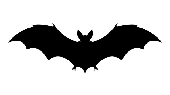 Flying bat silhouette. Halloween creature on a isolated transparent background png