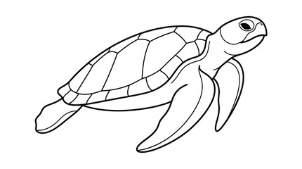Sea turtle swimming line art illustration. © diki