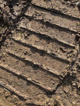 brown mud. track patterns create a textured background, suggesting the passage of heavy machinery or off-road vehicles. deep tire tracks imprinted into wet