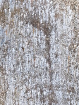 Vehicle tracks on the concrete floor.