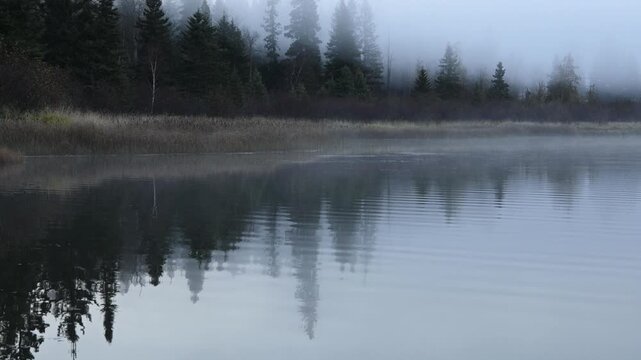 Small waves ripple on a northern lake in a blue morning scene with light fog. The grass along the lake is in autumn brown color.
