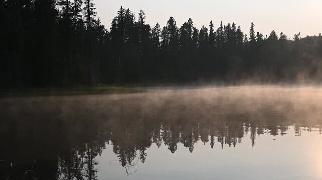 Early morning mist moves across calm water in a northern park lake. Trees reflect in the still water.
