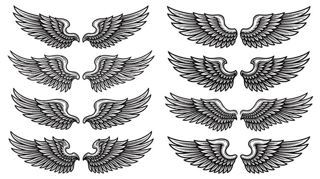 Set of vector black and white wings graphic design elements for tattoos, emblems, and creative projects