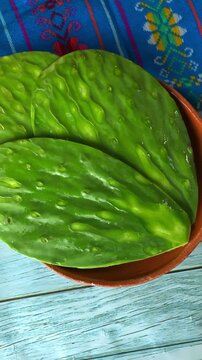 Overhead view of cleaned Mexican nopales or cactus ready for cooking