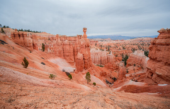 Bryce Canyon National Park hoodoos with the famous Thor's Hammer, Utah, USA, travel and tourism copy space banner