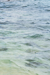 Crystal Clear Tropical Ocean Surface with Gentle Waves and Turquoise Shallow Water Texture © Arthur