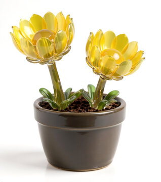 Glass art sculpture of yellow Amur adonis flowers Fukujusou in a brown pot, potted plant with golden bowl shaped blossoms isolated on white background