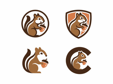 Set of squirrel logo design template with acorn