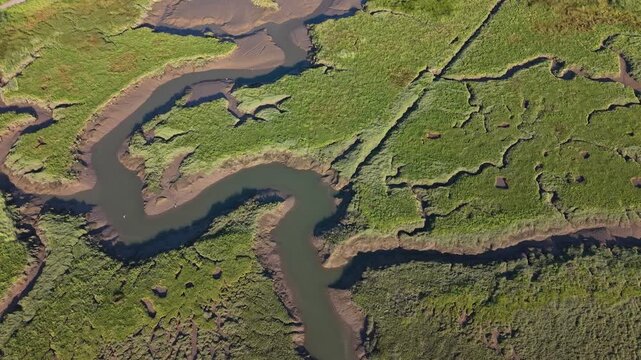 Top-down drone view of a small river delta with branching waterways, sediment patterns, wetlands and natural vegetation creating an intricate aerial landscape