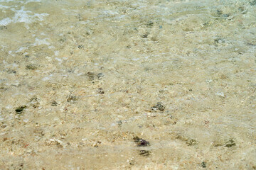 Crystal Clear Shallow Tropical Water Over Sandy Seabed Creating Natural Ocean Texture © Arthur