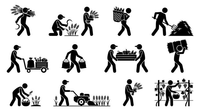 Vector stick figure pictogram icon set of agricultural harvesting activities, featuring wheat reaping with sickle, vineyard picking, haybales, and hand tractor.