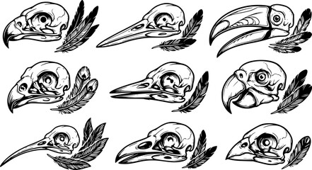 Obraz premium Black and White Bird Skull Illustration Set with Varied Beak Shapes and Feather Details