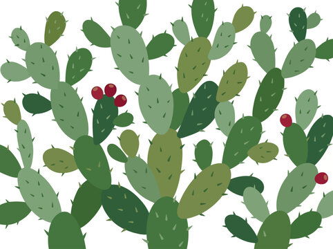 Green nopal vector with prickly pear cactus fruits and flat design