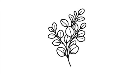 Simple line drawing of a eucalyptus branch with leaves. © amira