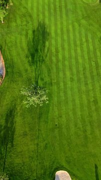 Lawn mower cutting grass on a golf course aerial view