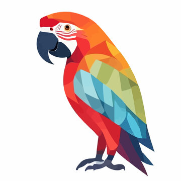 Parrot illustration featuring a colorful scarlet macaw in a geometric vector style.