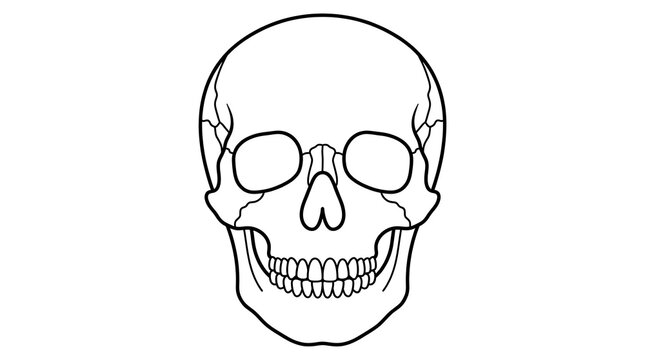 Skeletal skull with hollow eye sockets and grinning teeth.