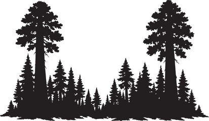Obraz premium Black silhouette of towering pine forest with giant redwood trees for nature design