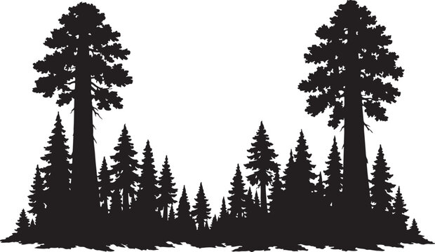 Black silhouette of towering pine forest with giant redwood trees for nature design