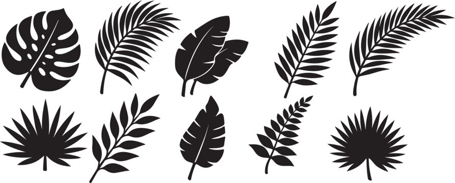 Black tropical leaf silhouette vector set with isolated palm fronds and monstera leaves elements for summer stencils and vinyl decals