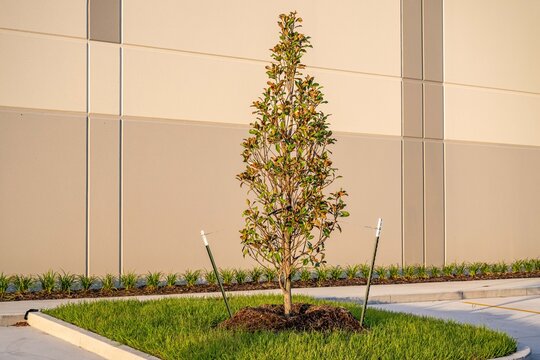 commercial warehousecommercial, warehouse, building, architecture, house, hotel, construction, sky, city, office, tree, residential, palm, estate, garden, residence, window, property, buildings, condo