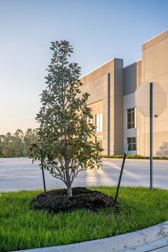commercial warehousecommercial, warehouse, building, architecture, house, hotel, construction, sky, city, office, tree, residential, palm, estate, garden, residence, window, property, buildings, condo