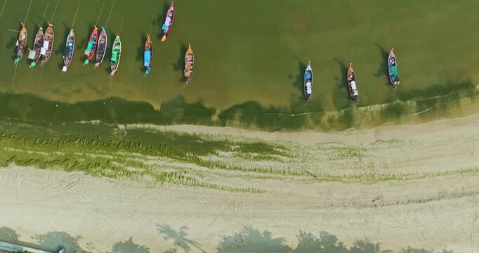 
Drone view of Patong Beach showing moss and algae covering sections of the sand while a tractor clears the shoreline. This scene captures the contrast between natural coastal growth \\
