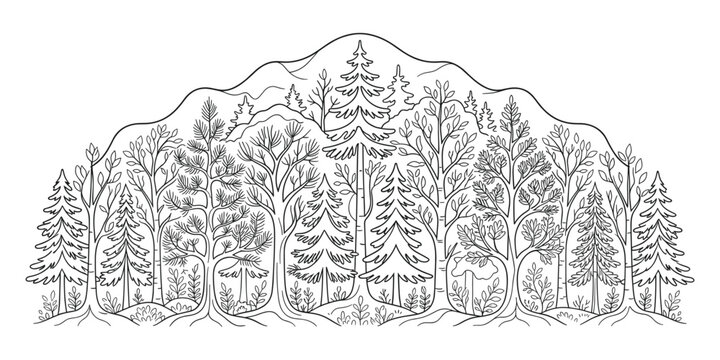 Mountain forest landscape with various trees in line art style vector illustration outdoor scene.