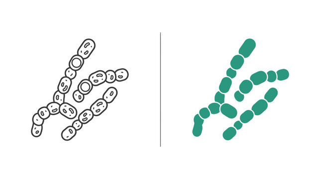 Illustration of streptobacilli bacteria chains in both line art and solid green styles.