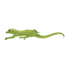 Fototapeta premium Small green lizard vector illustration isolated on white 