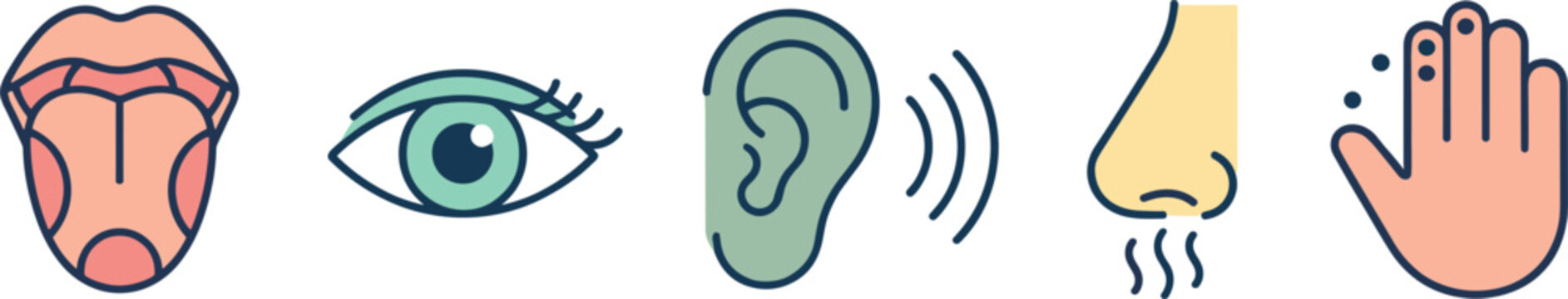 Vector set of human five senses line icons featuring tongue taste vision eye hearing ear smell nose and touch hand symbols