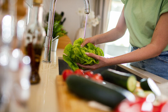 Person washing fresh lettuce in home kitchen sink