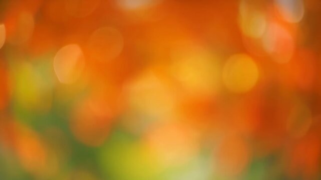 Warm Autumn Bokeh with Glowing Orange Light 4K Generative AI