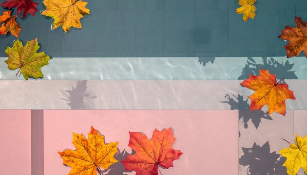 Autumn Leaves Over Poolside Soft Afternoon Light