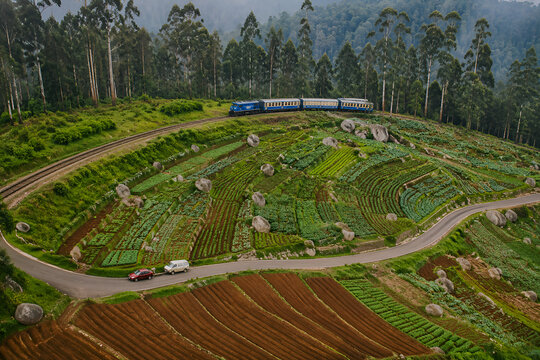 Terraced Farmland and Nilgiri Mountain Railway Track in Ooty Tamil Nadu India