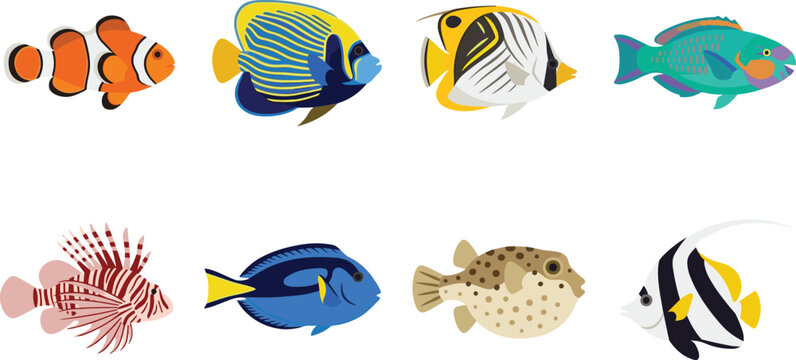 Tropical Reef Fish Collection Vector Set with Clownfish Angelfish Butterflyfish Lionfish and Pufferfish