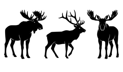 Naklejka premium Wild forest animal silhouettes vector set featuring detailed profiles of a bull moose, standing stag deer, and a front view moose isolated on white background.