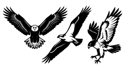 Obraz premium Detailed black and white flying eagle vector illustration collection featuring powerful birds of prey soaring, gliding, and landing with talons out for mascot design.