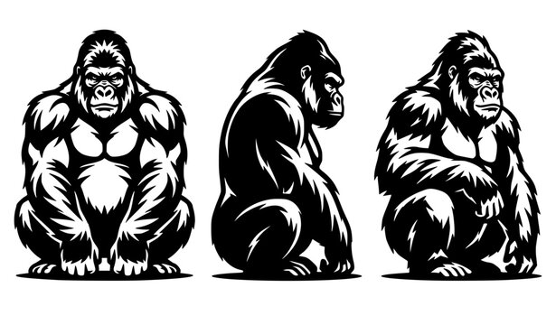 Strong silverback gorilla character illustrations set featuring muscular ape figures in powerful front view standing stance and sitting side profile mascot logo design