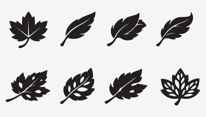 Fototapeta premium Artistic Botanical Leaf Silhouette Collection — 8 Premium Vector Icons