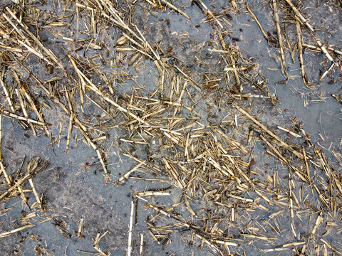 View from above showing standing water in corn stover field during spring with delayed planting