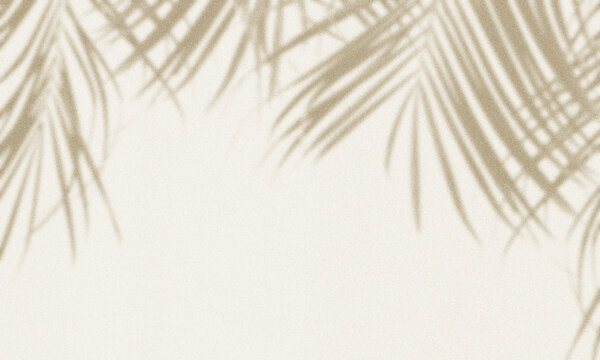 warm beige background showing soft, blurred shadows of palm tree leaves cast from above.