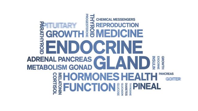 Endocrine Gland animated word cloud-animation tag kinetic typography seamless loop.